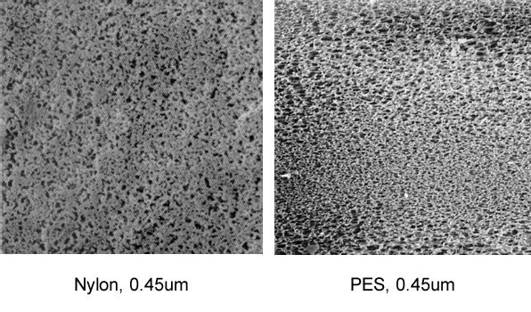 comparison between nylon and pes membranes