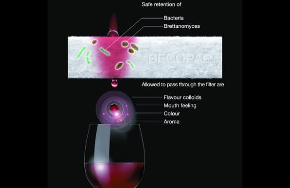 brettanomyces removal