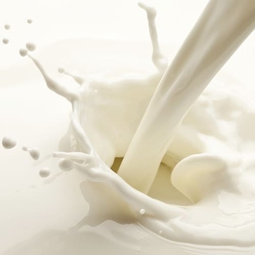 Concentration of milk and whey dairy process New Zealand