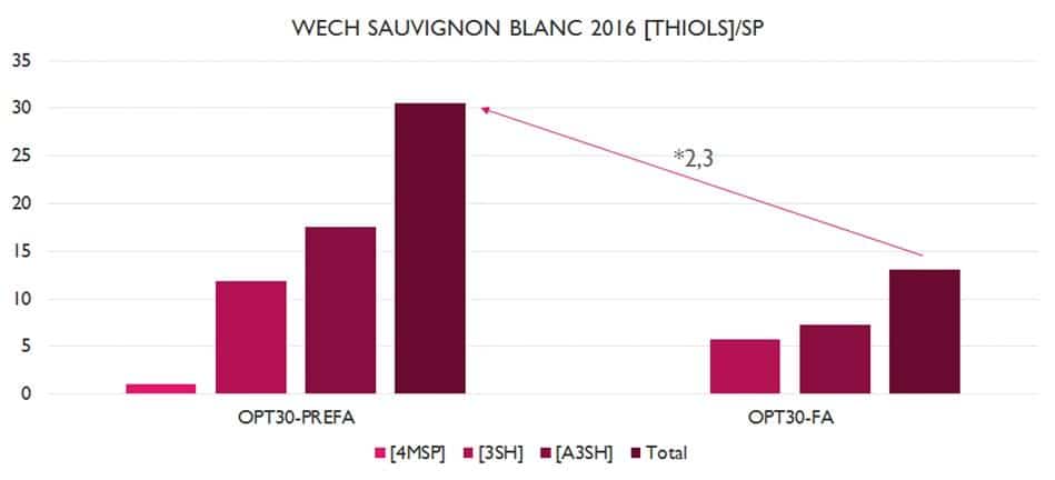 Wech Sauvignon Blanc 2016 2