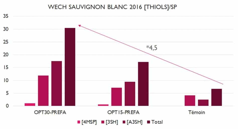 Wech Sauvignon Blanc 2016