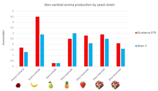 Fig 3 Non-varietal aroma production by yeast strain