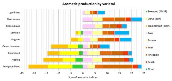 Fig 4 Aroma production by varietal