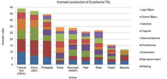 Fig 5 Aromatic production of Excellence TXL