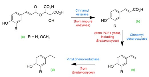 Sequence of Production