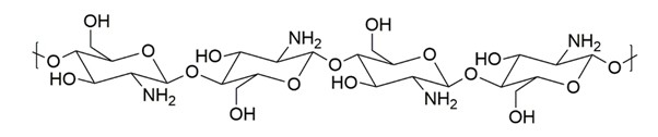 Structure of Chitosan